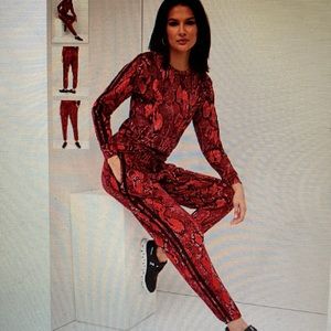 New York & Company Velour Jogger suit